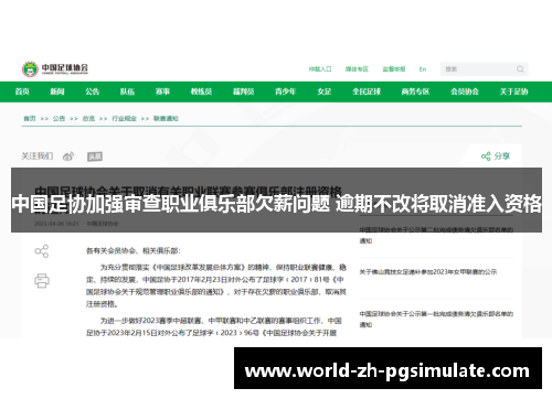 中国足协加强审查职业俱乐部欠薪问题 逾期不改将取消准入资格 中国足协加强审查职业俱乐部欠薪问题 逾期不改将取消准入资格