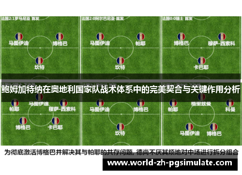 鲍姆加特纳在奥地利国家队战术体系中的完美契合与关键作用分析