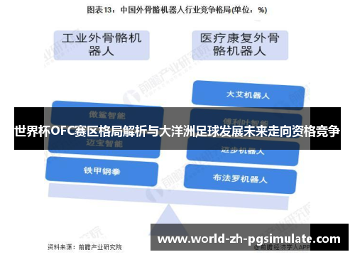 世界杯OFC赛区格局解析与大洋洲足球发展未来走向资格竞争